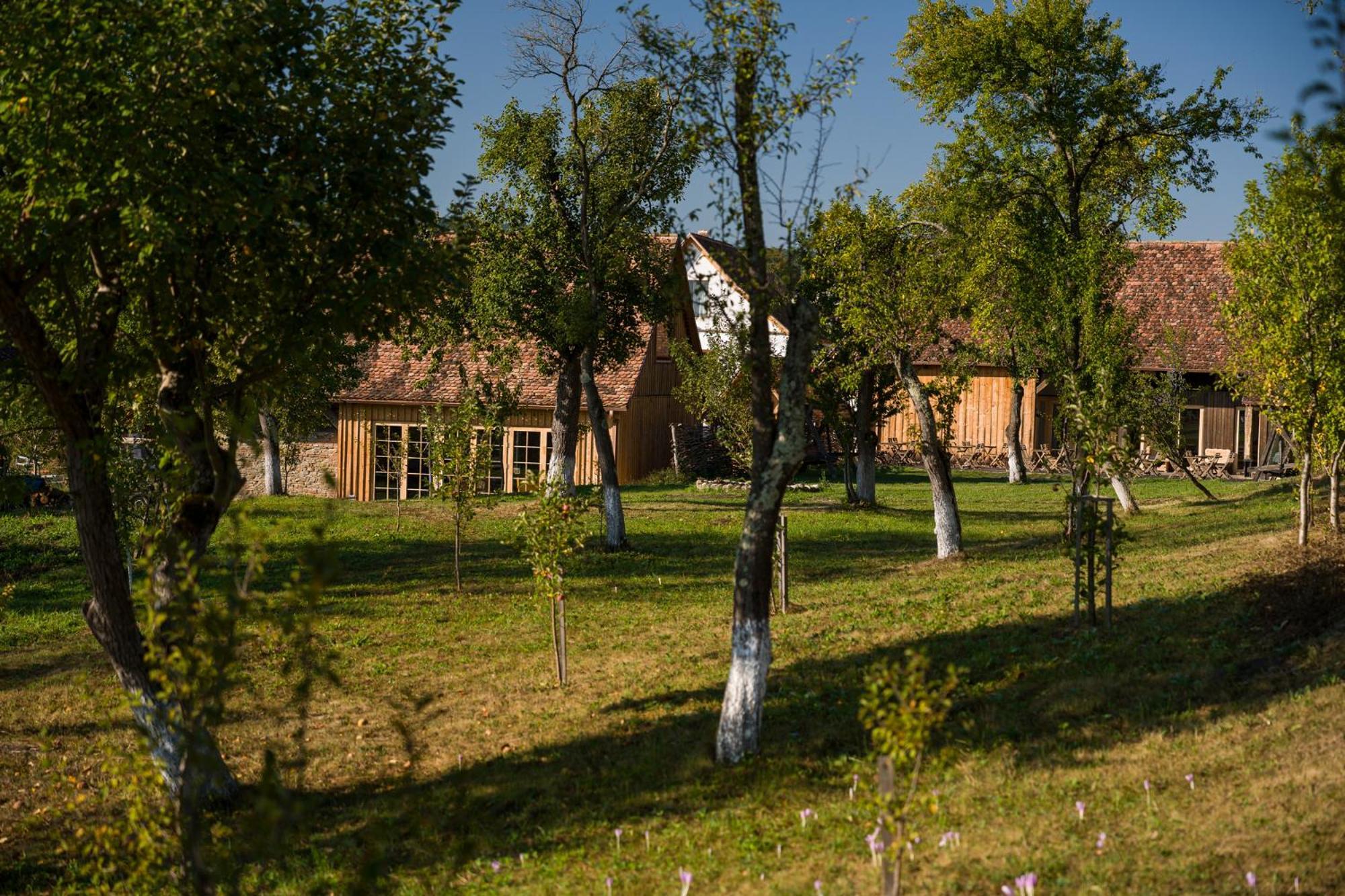 Mesendorf Gasthaus المظهر الخارجي الصورة